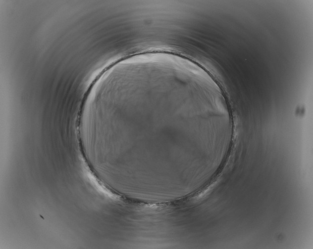 X0000112800806200909181535