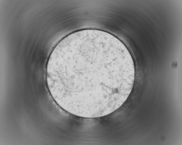 X0000112800807200909181535