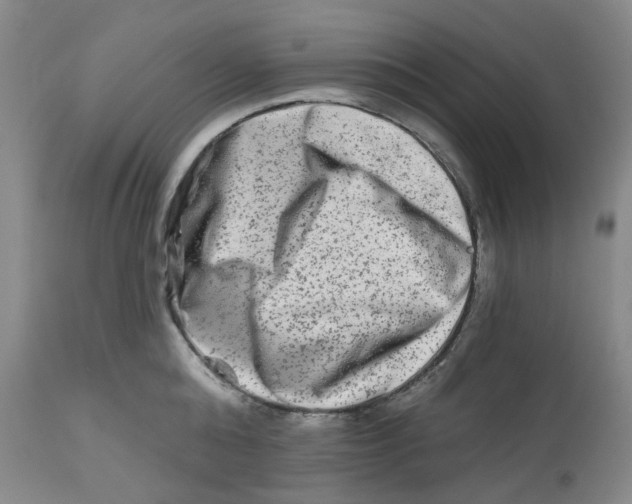 X0000112800808200909181535