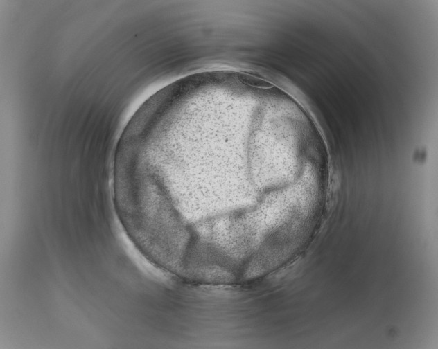 X0000112800811200909181535