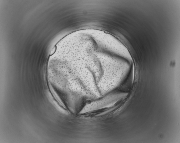 X0000112800812200909181535