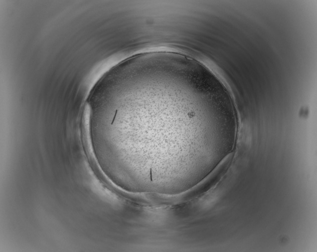 X0000112800813200909181535
