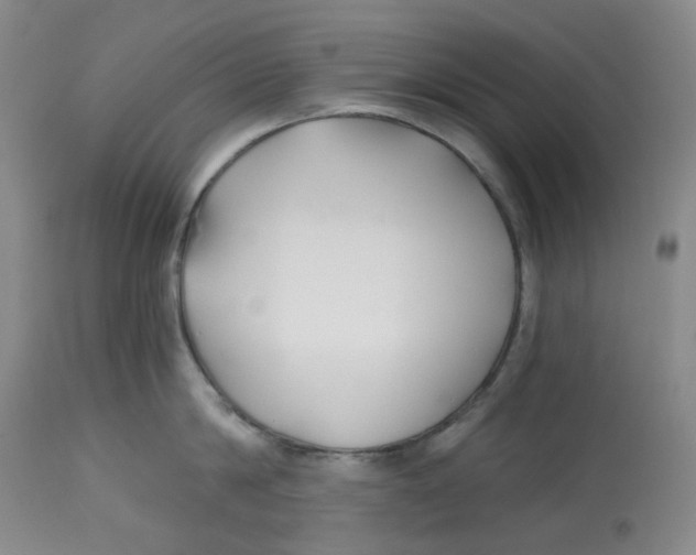 X0000112800814200909181535