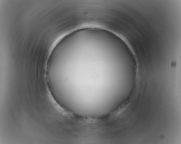 X0000112800815200909181535