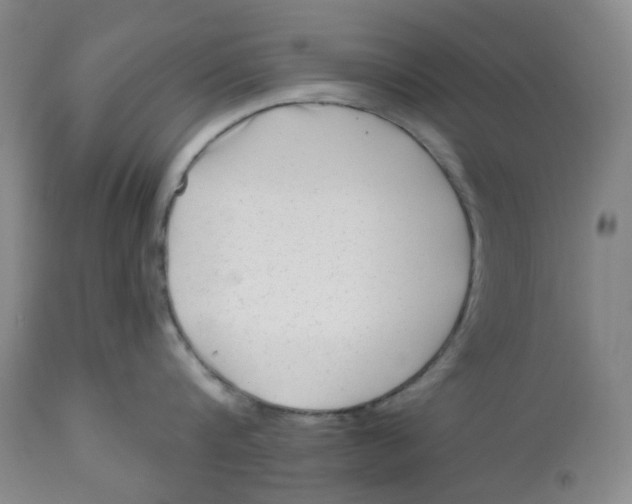 X0000112800816200909181535