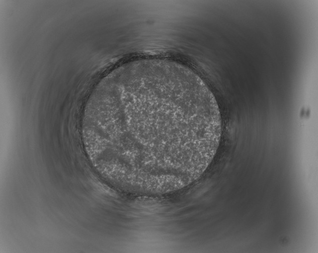 X0000112800817200909181534
