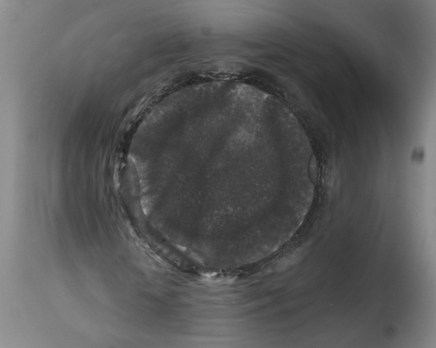 X0000112800818200909181534