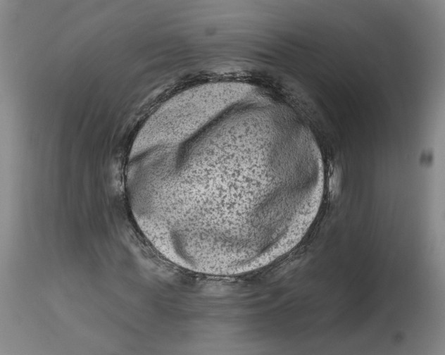 X0000112800819200909181534