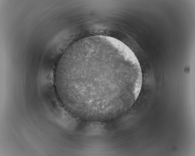 X0000112800820200909181534