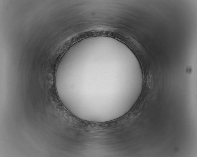 X0000112800821200909181534