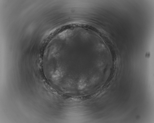 X0000112800822200909181534