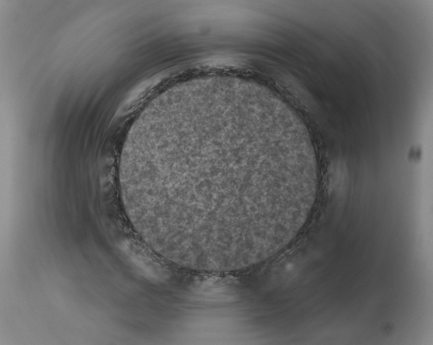 X0000112800824200909181534