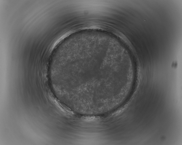 X0000112800826200909181534