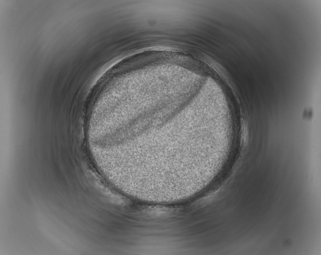 X0000112800829200909181534