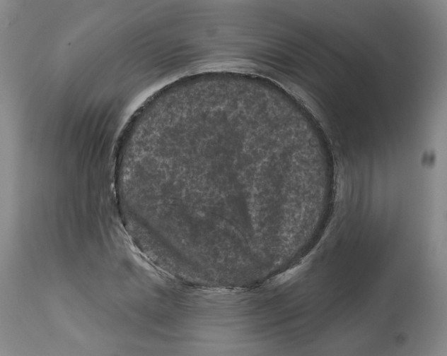 X0000112800830200909181534