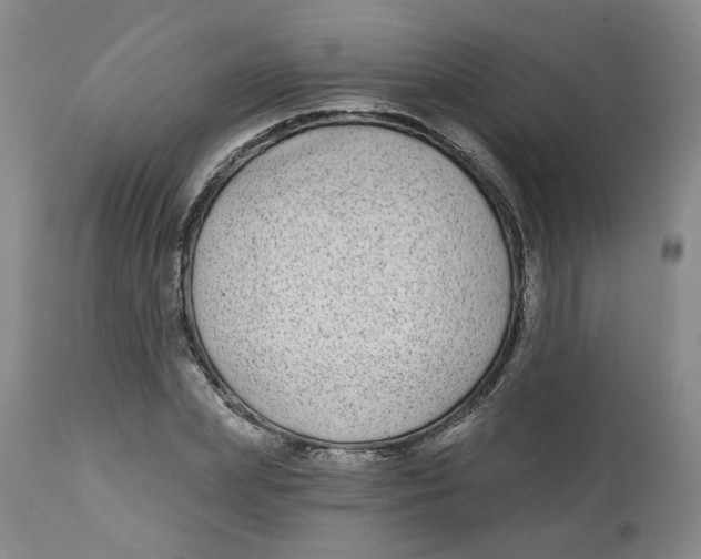 X0000112800831200909181534