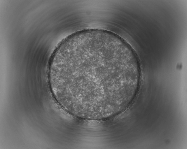 X0000112800832200909181534