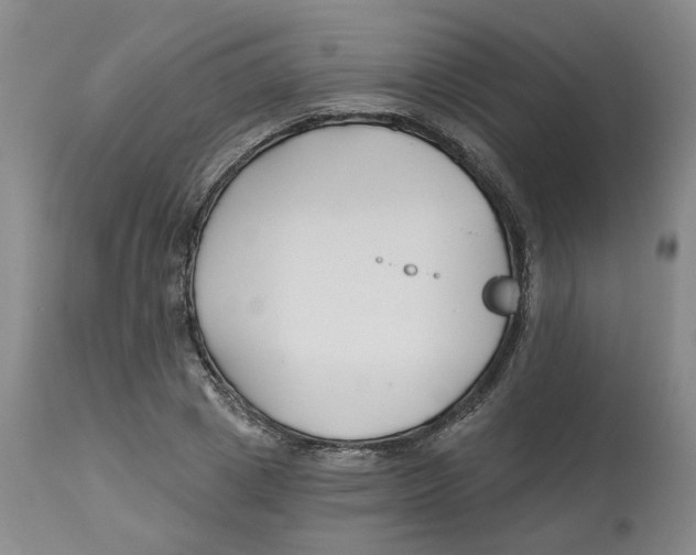 X0000112800833200909181534