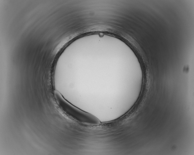 X0000112800834200909181534