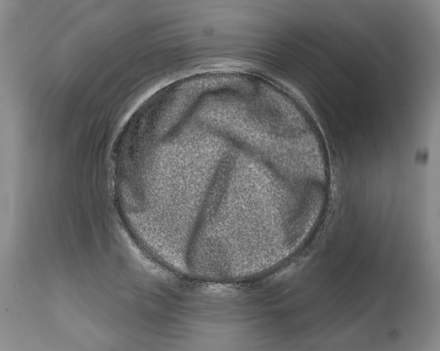 X0000112800835200909181534
