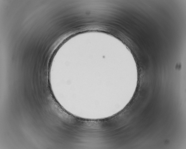 X0000112800836200909181534