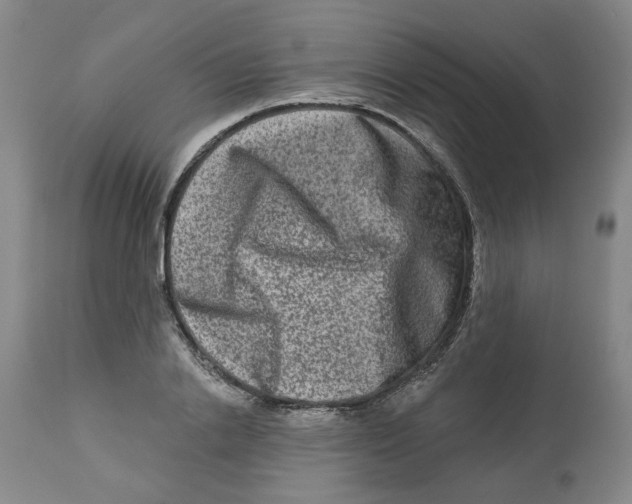 X0000112800838200909181534