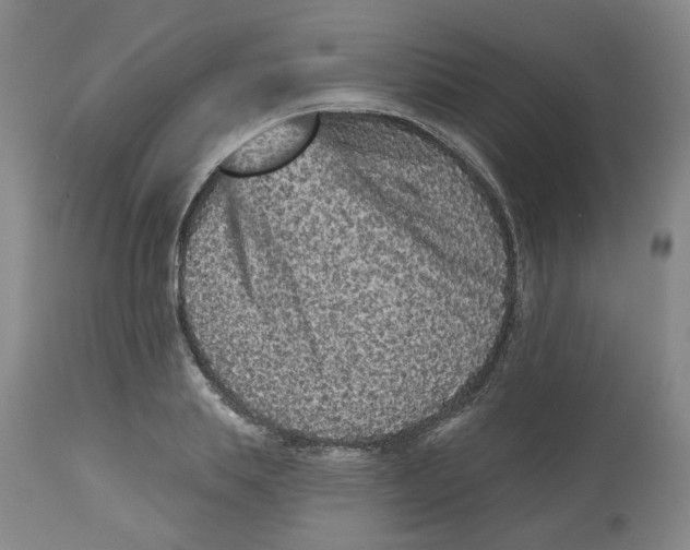 X0000112800839200909181534