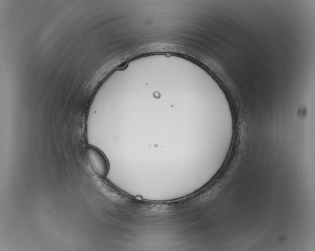 X0000112800841200909181535