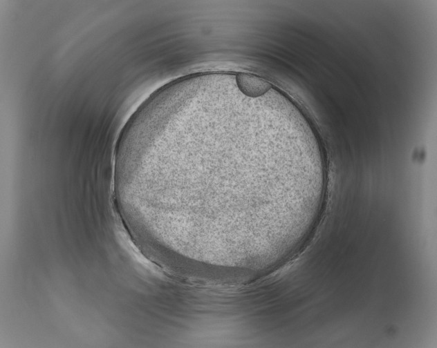 X0000112800844200909181535