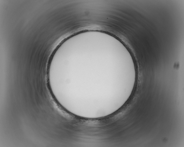 X0000112800845200909181535