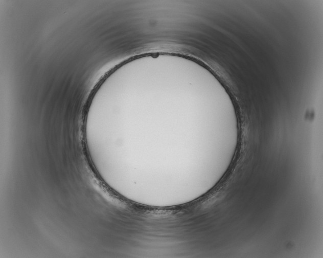X0000112800846200909181535
