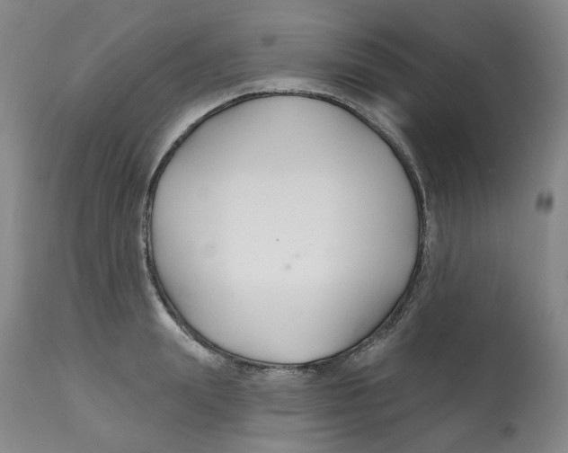 X0000112800847200909181535