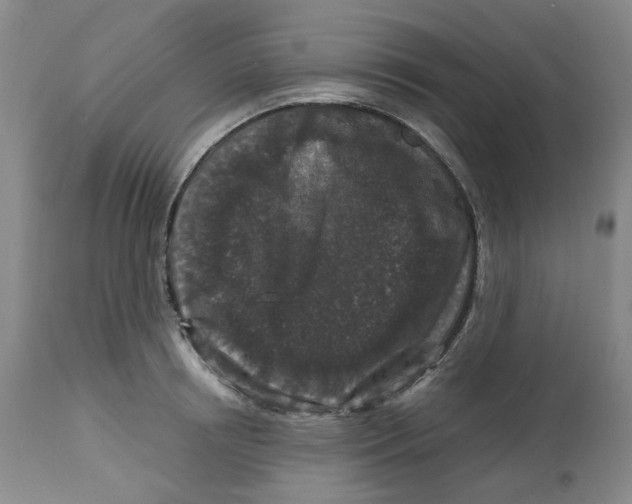 X0000112800850200909181535