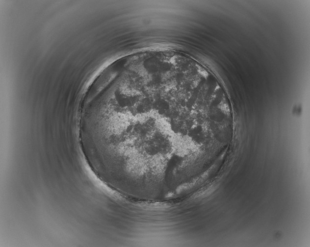 X0000112800851200909181535