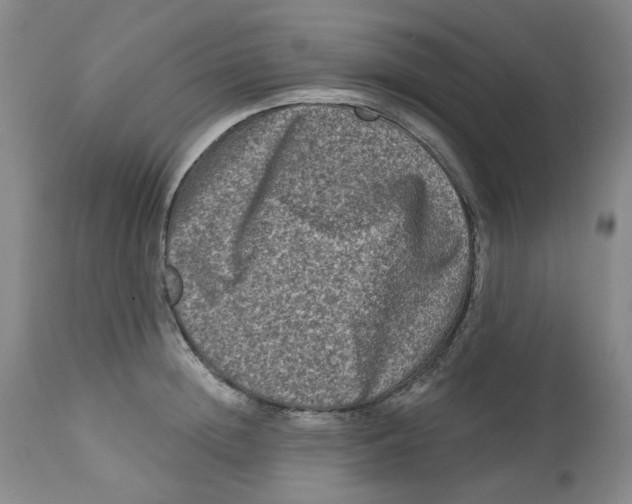 X0000112800852200909181535