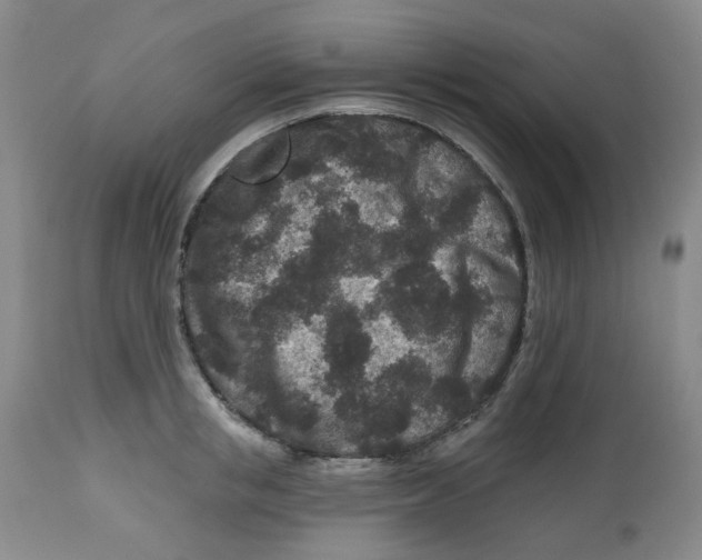 X0000112800853200909181535