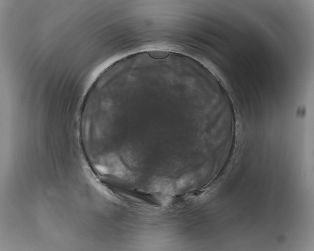 X0000112800854200909181535