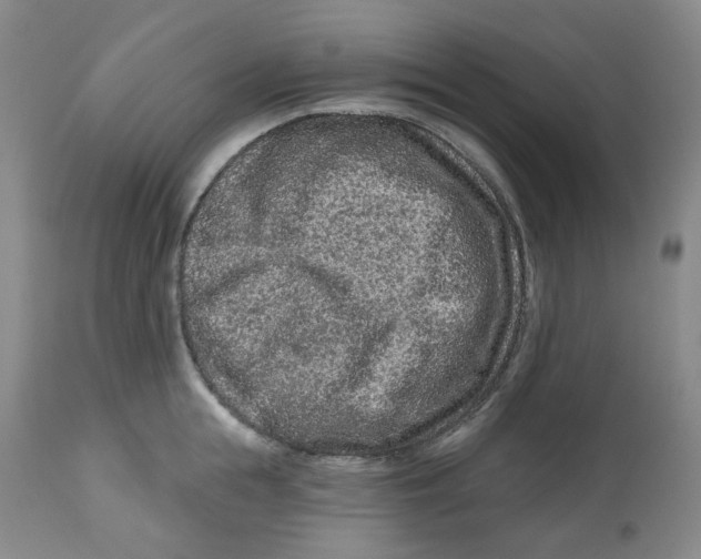 X0000112800855200909181535