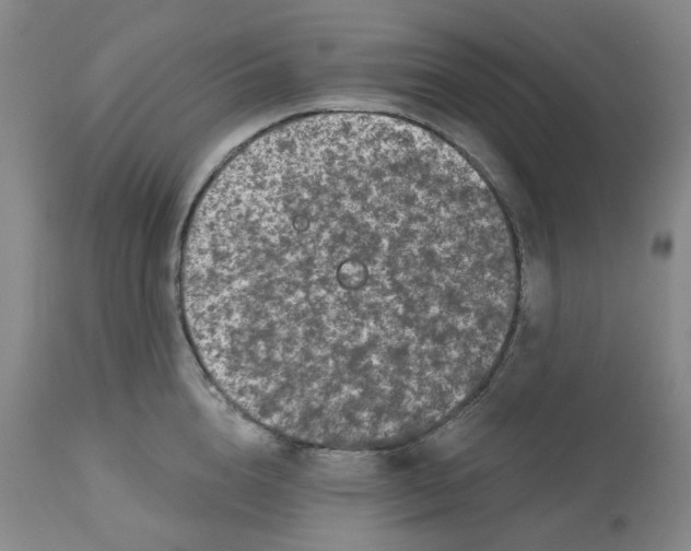 X0000112800856200909181535
