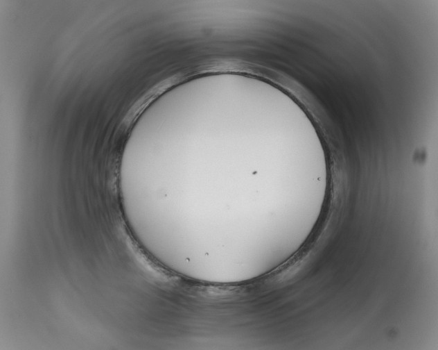 X0000112800857200909181535