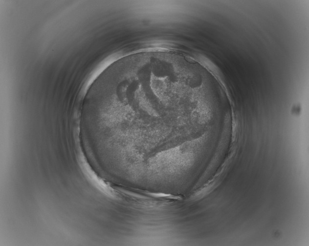 X0000112800859200909181535