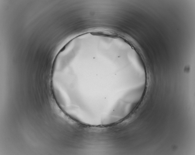 X0000112800860200909181535