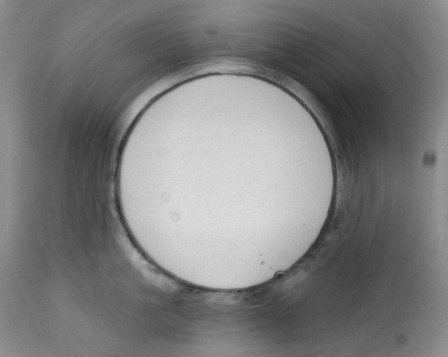 X0000112800861200909181535