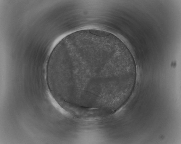 X0000112800862200909181535