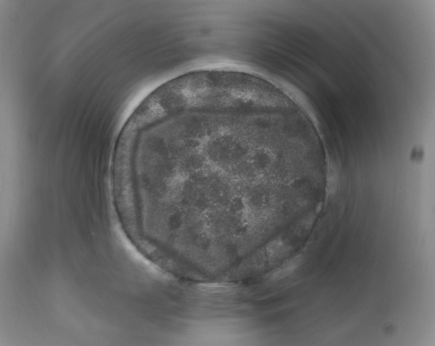 X0000112800863200909181535