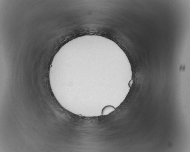X0000112800865200909181534