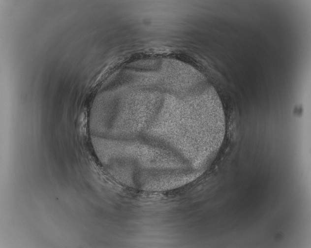 X0000112800866200909181534