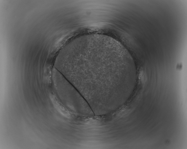 X0000112800868200909181534