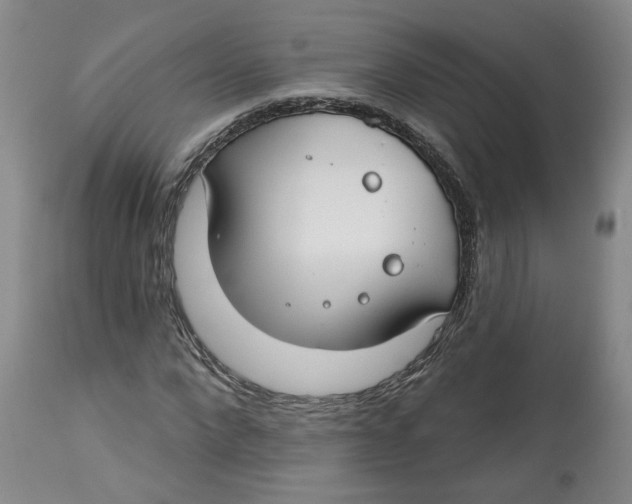X0000112800872200909181534