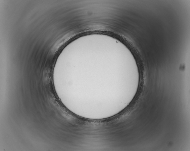 X0000112800873200909181534